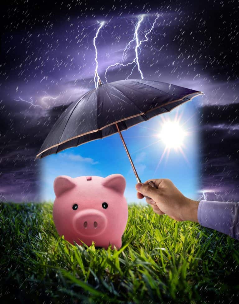 piggy bank