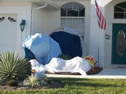 Freezing Weather This Week!