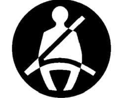 Using Restraint: Safety Belts/Child Restraints