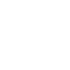 icon-security